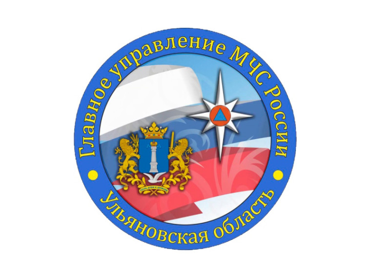 Правила безопасного поведения в лесу для грибников. Правила безопасного поведения в лесу для грибников.